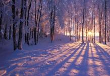 Как отметить наступление первого дня зимы?